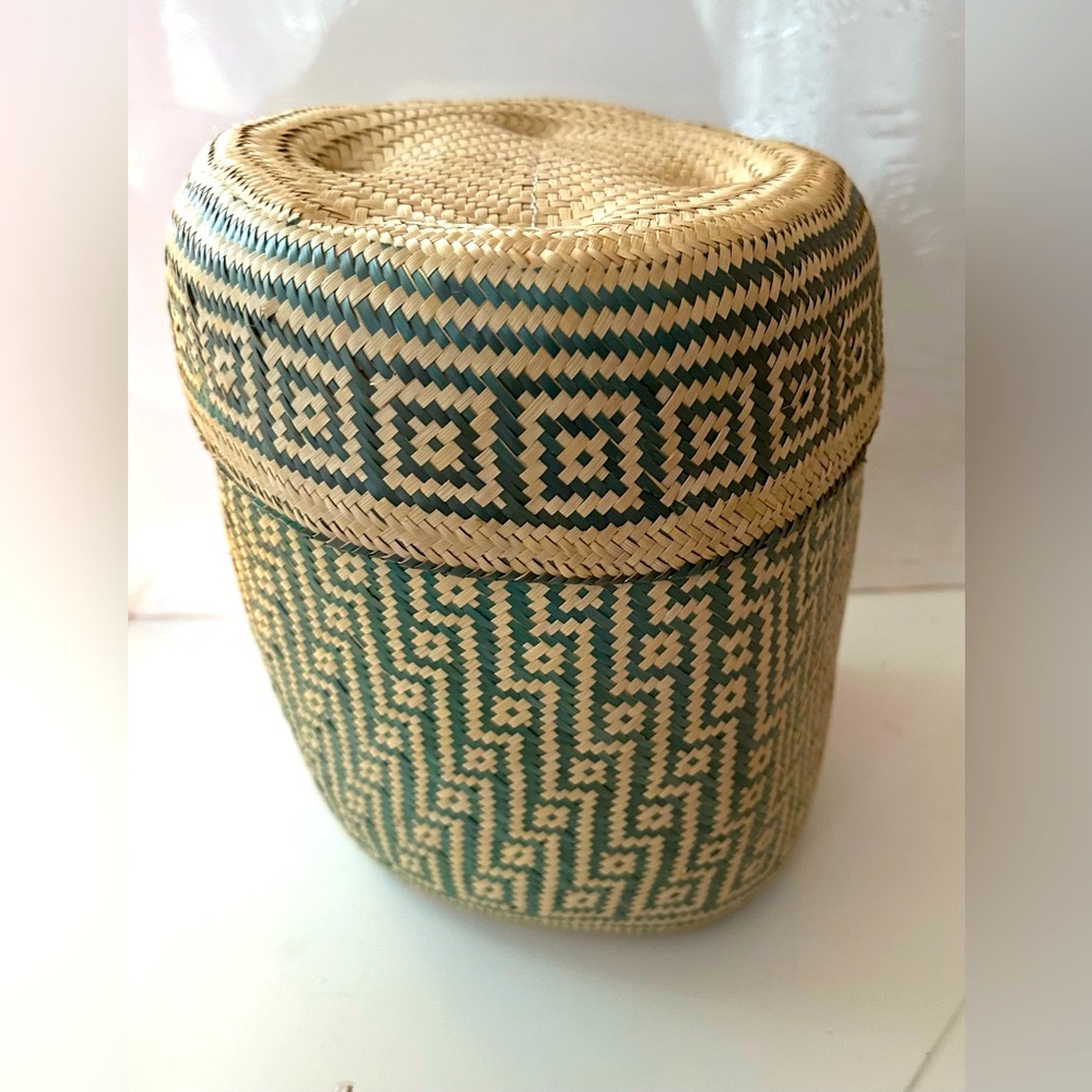 Gorgeous Oaxacan Hand Woven Natural Lidded Basket & Lid Storage Planter Green
